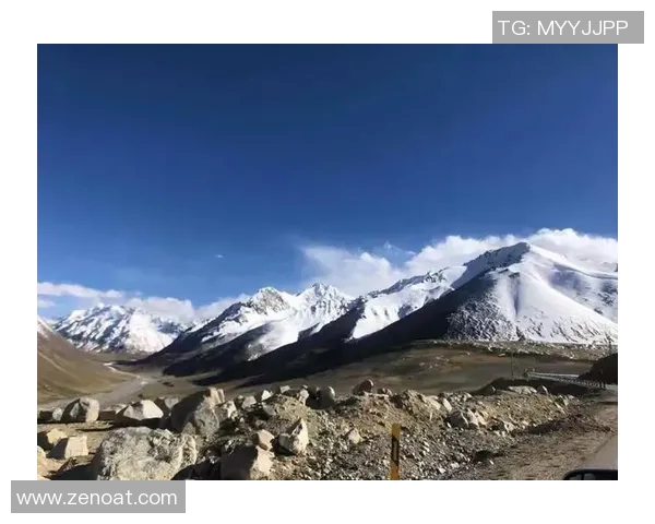 王岚的音乐旅程与人生哲学探索：从歌声中寻找自我与梦想的交汇点